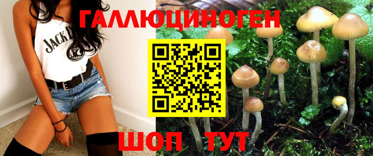 Галлюциногенные грибы мицелий Миасс